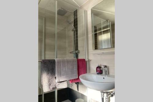 Apartamento Gem�tliche Ferienwohnung In Sankt Blasien