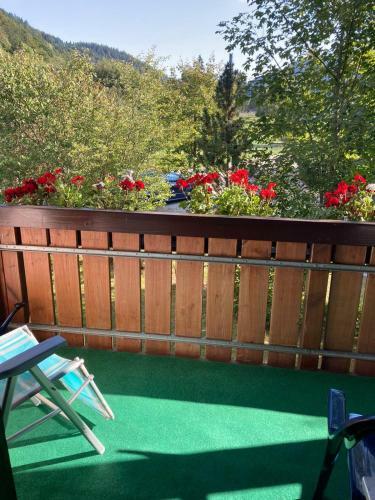 Apartamento Gem�tliche Ferienwohnung In Sankt Blasien
