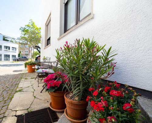 Apartamento Casa Dersim