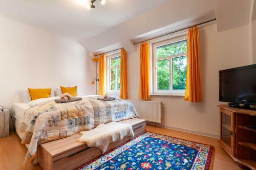 Apartamento G�stehaus Harzluft / Gruppenferienhaus