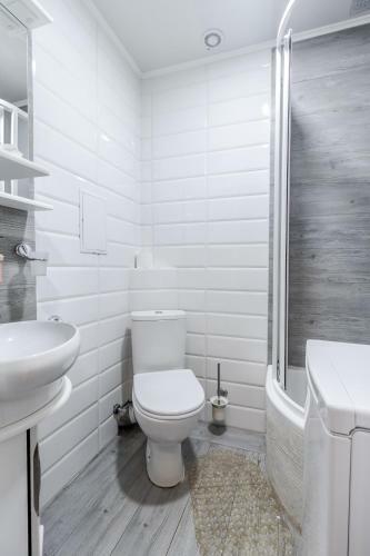 Modern Chaikovskogo Apartment