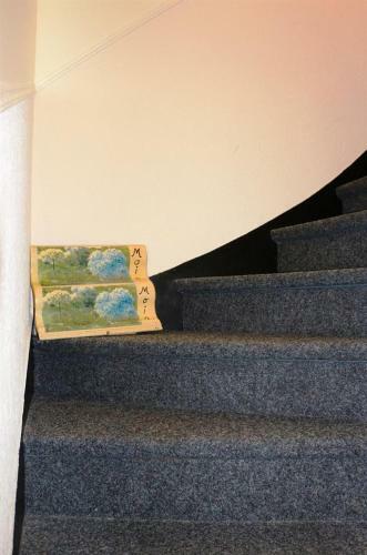 Apartamento Ferienwohnung Haus Steen