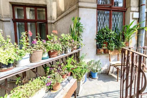 Apartamento Inshiapartment On Bohomol?tsya Str