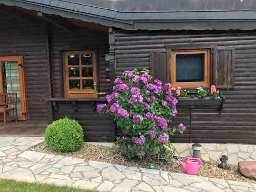Ferienhaus Junge Schielo