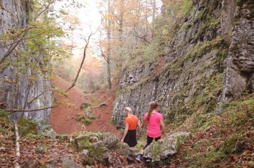 Agroturismo Ferienhof Unterhochst�tt