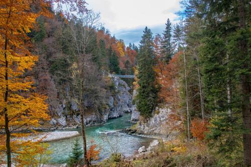 Apartamento Beim M�hltaler