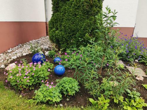 Apartamento Ferienhaus Lieblingsplatz Schleiz