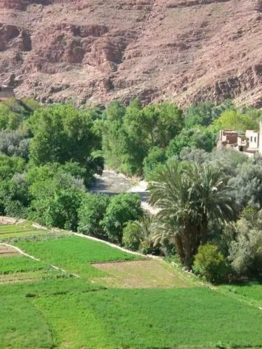 Albergue Dar Almanadir Todra