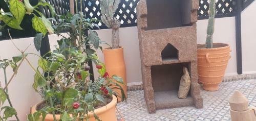 Surf Riad Taghazout