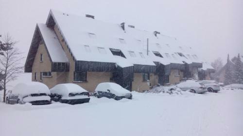 Apartamento Schonachblick