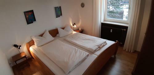 Apartamento Schonachblick