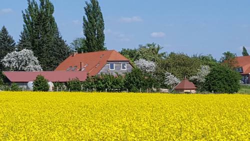 Apartamento Seminar Und Landhaus Sch�nbeck