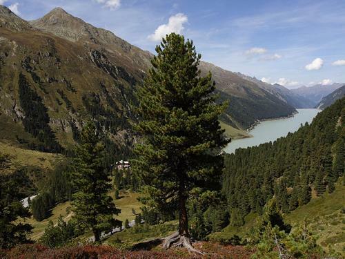 Apartamento Plattnerhof Kaunertal