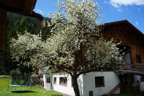 Apartamento Bergfeuerhof