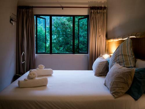 Hostal Africa's Eden Guesthouse