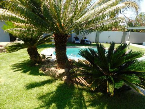 Hostal Savannah Guest House