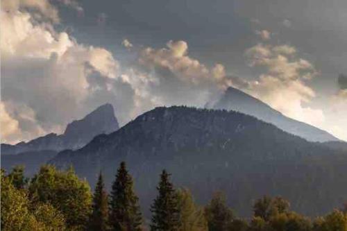 Beautiful Cosy House Near K�nigsee