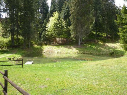 Apartamento Appartment Leo