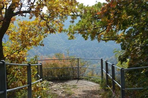 Apartamento Ferienwohnung B�uerle
