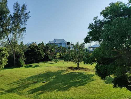 44 Montego Bay Caribbean Estates