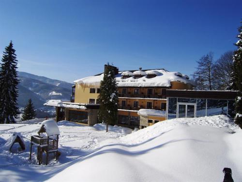 Alpenhof Hotel Semmering