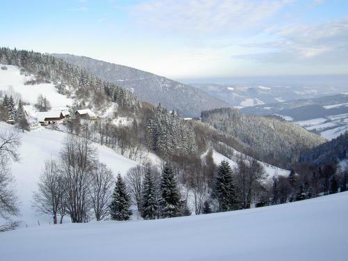 Apartamento Almbauer Morgenbesser