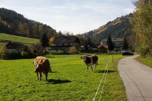 Hostal Hubertushof