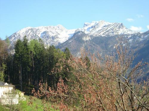 Apartamento Haus Margrit
