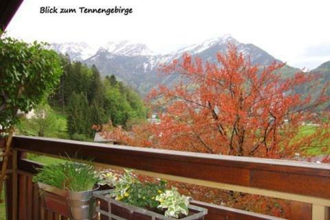 Apartamento Haus Margrit