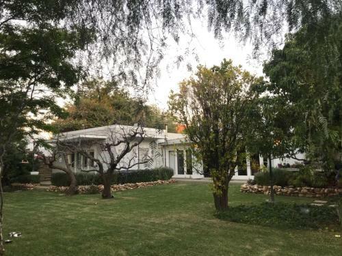 Hostal The Lemon Tree
