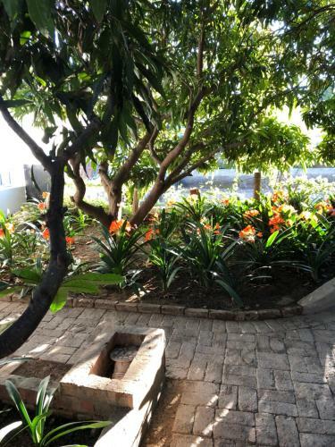 Hostal The Lemon Tree