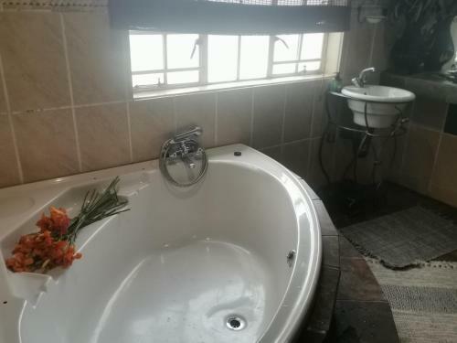 Hostal Bushmans Rest
