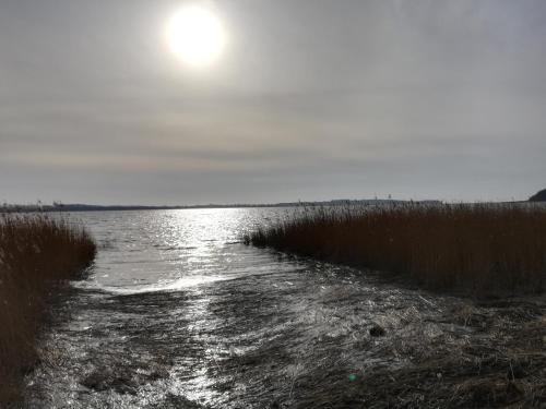 Sellin - Seedorf Am Neuensiener See Apartment 08