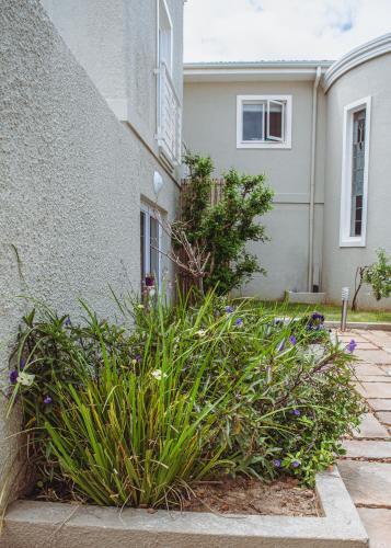 Hostal Kingsbeach Cottages
