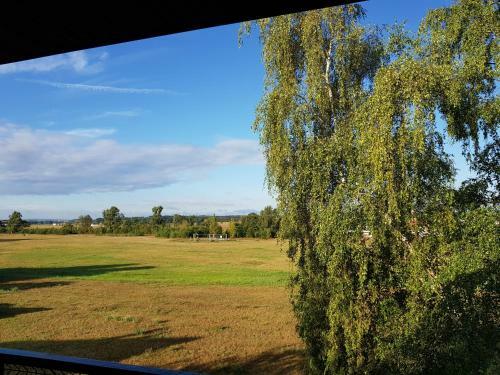 Apartamento Ferienwohnung Seligenporten