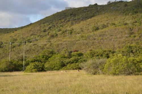 Matjesfontein Estate Keurbooms Chalet