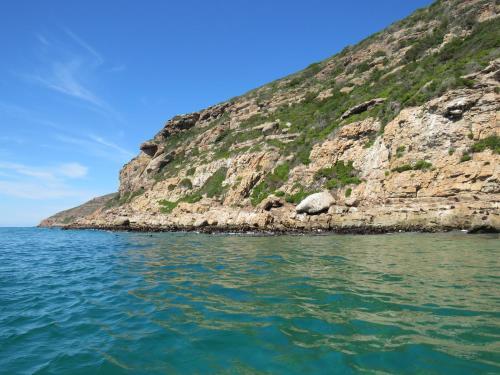 Apartamento Plett D'light