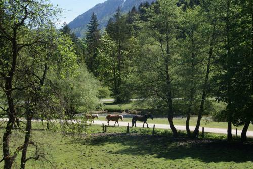 Apartamento Ferienwohnung Bluntaum�hle