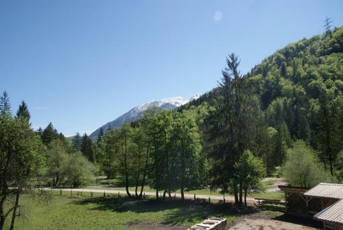 Apartamento Ferienwohnung Bluntaum�hle