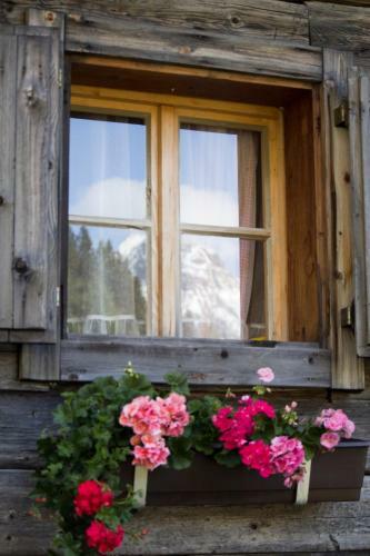 Hotel Alpengasthof Zollwirt
