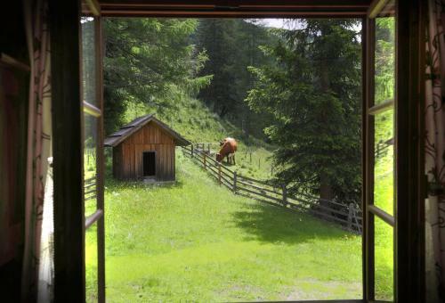 Hostal Gasserh�tte