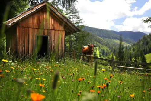 Hostal Gasserh�tte