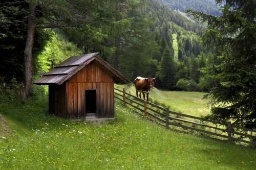 Hostal Gasserh�tte