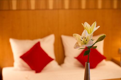 Hostal Pension Appartement Lanzer