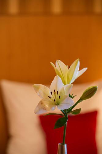 Hostal Pension Appartement Lanzer