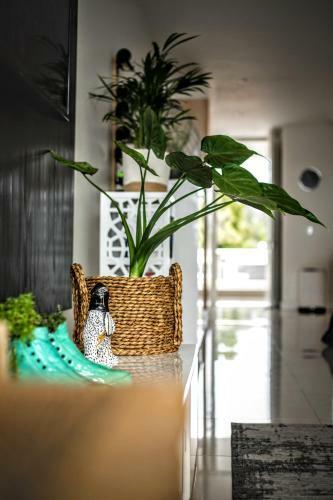 Plett Holiday Apartment