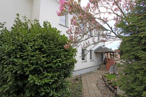 Apartamento Ferienwohnungen Ahlbeck Use 3490
