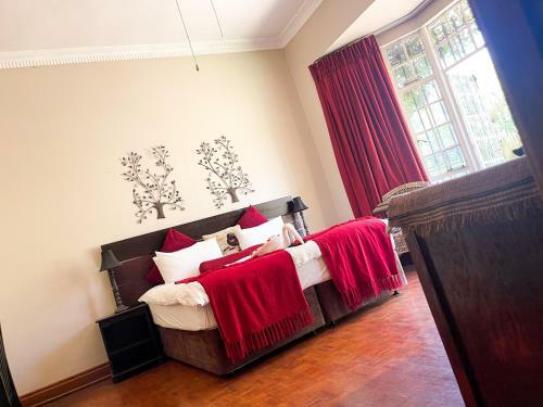 Hostal Amorus Guesthouse