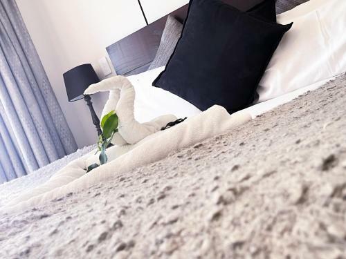 Hostal Amorus Guesthouse