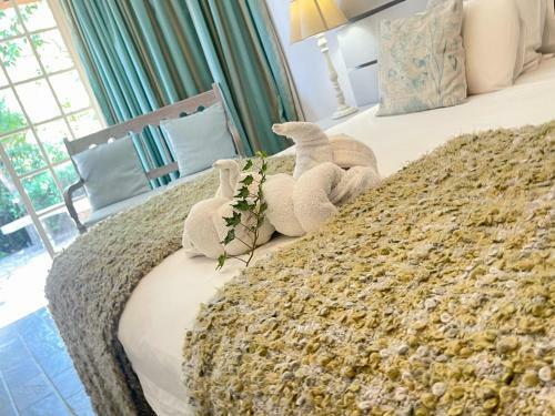 Hostal Amorus Guesthouse